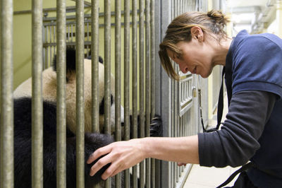 探訪法國博瓦勒動物園大熊貓飼養(yǎng)員團隊 守護中法友誼的動物守護者
