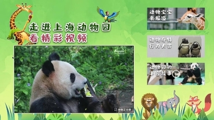 解鎖六一特別陪伴模式 中國互聯(lián)網(wǎng)電視帶您云游上海動物園，探秘動物飼養(yǎng)