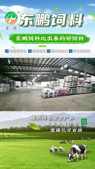 綠色飼料的使命 專業大廠如何為養殖戶鋪就健康養殖之路