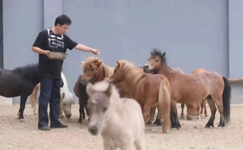 于謙個人簡介(于謙副業說相聲玩兒才是主業)